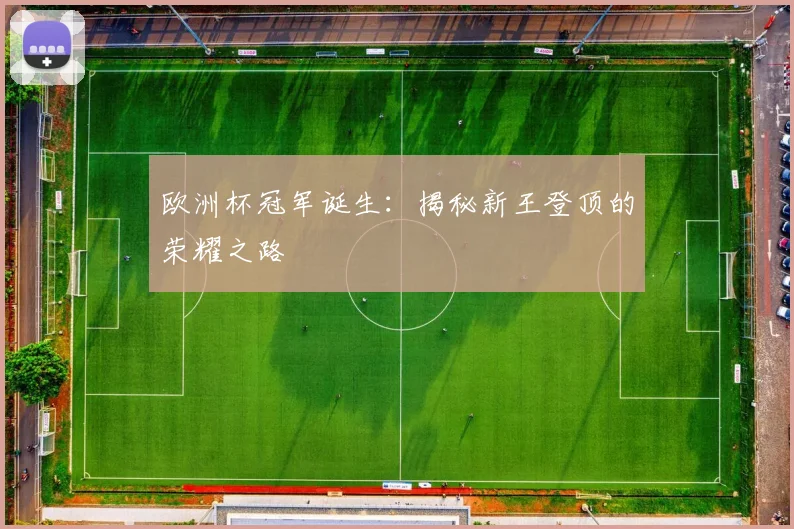 欧洲杯冠军诞生：揭秘新王登顶的荣耀之路